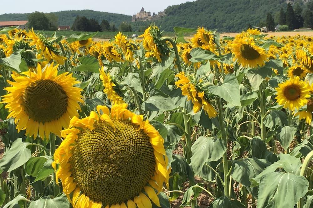 Romantic Stone Cottage at 2 km from celebrated Castles and the Dordogne River Aquitaine - Uitspraken visuel 4/5