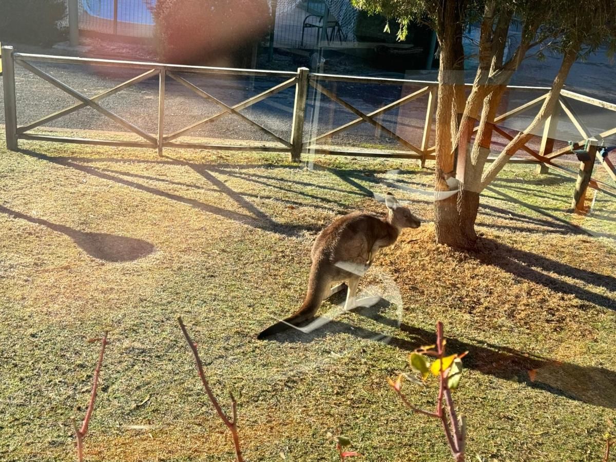 Halls Gap Log Cabins