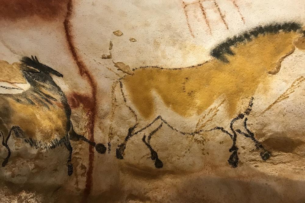 Romantic Stone Cottage at 2 km from celebrated Castles and the Dordogne River Aquitaine - Uitspraken visuel 2/5