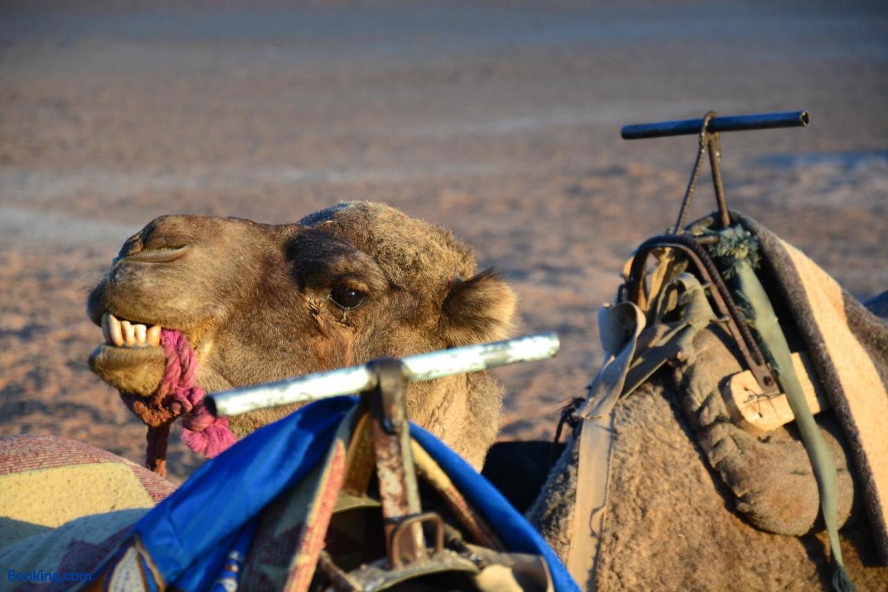 booking-1071459736-560531263-817511 Berber Safari Camping