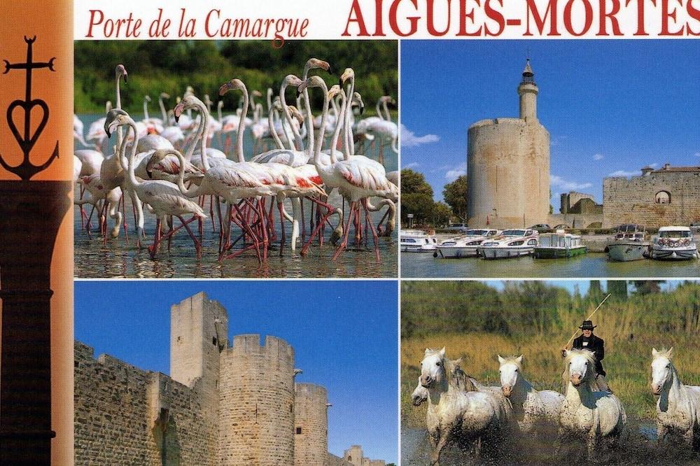 Montcalm Vauvert: Country Cottage / Gite Montcalm Vauvert - Languedoc-Roussillon - Vauvert visuel 4/5 Montcalm Vauvert: Country Cottage / Gite Montcalm Vauvert - Languedoc-Roussillon - Vauvert visuel 4/5