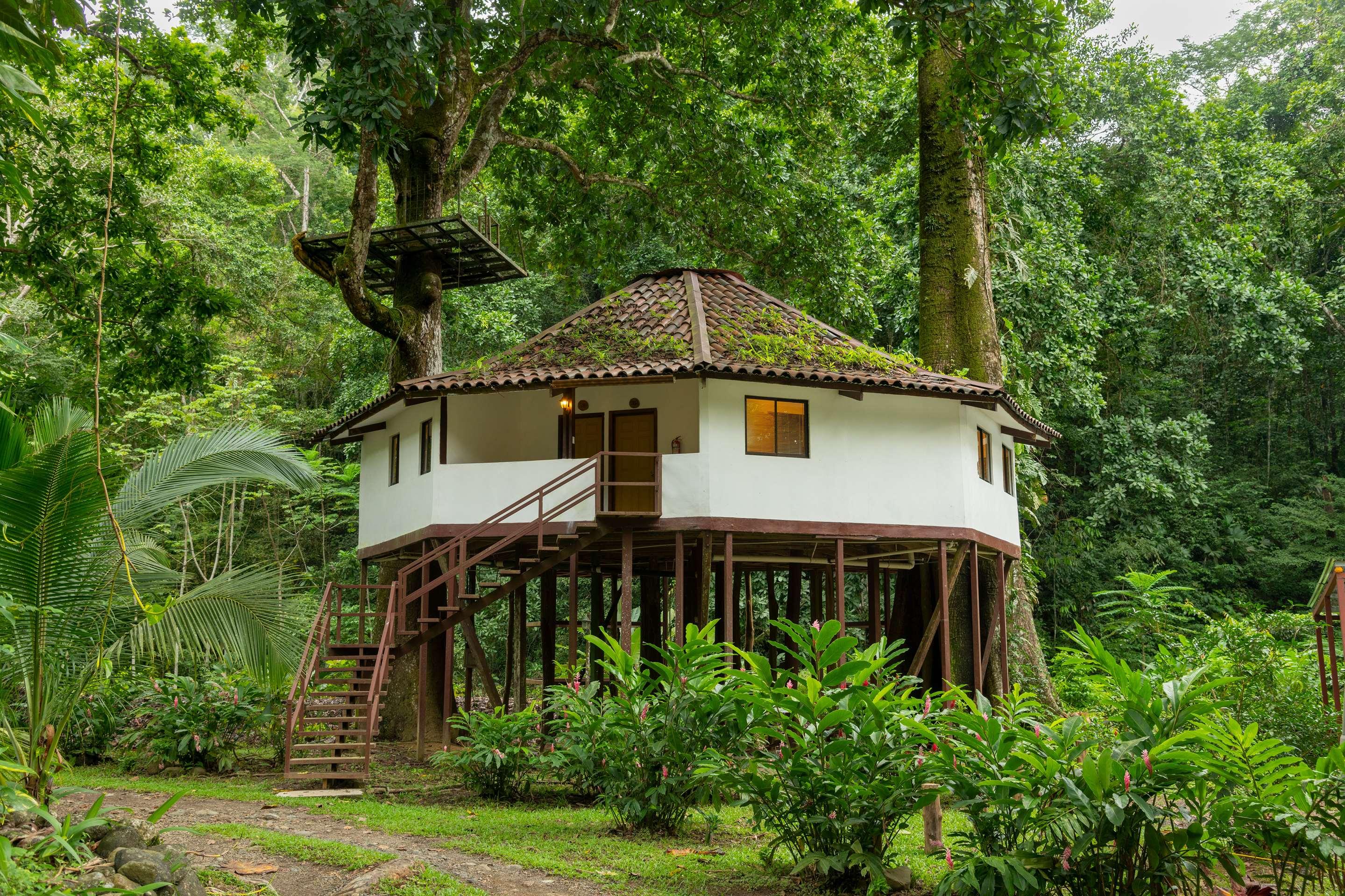 Jungle village. Арт вилла Коста Рика. Вилла в джунглях Коста Рики. Вилла утро джунгли. Лестница вилла джунгли.