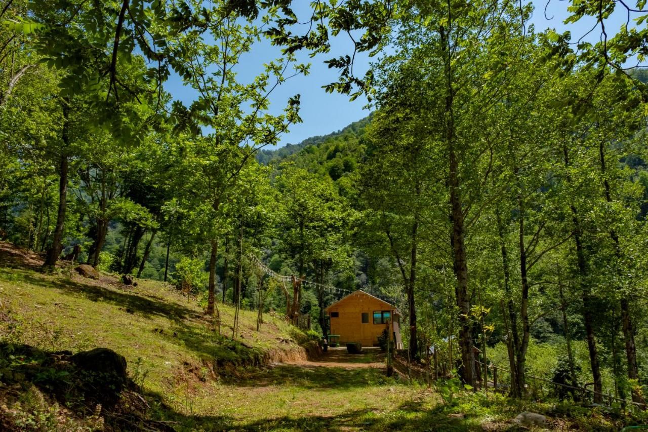 Skydoorცისკარი