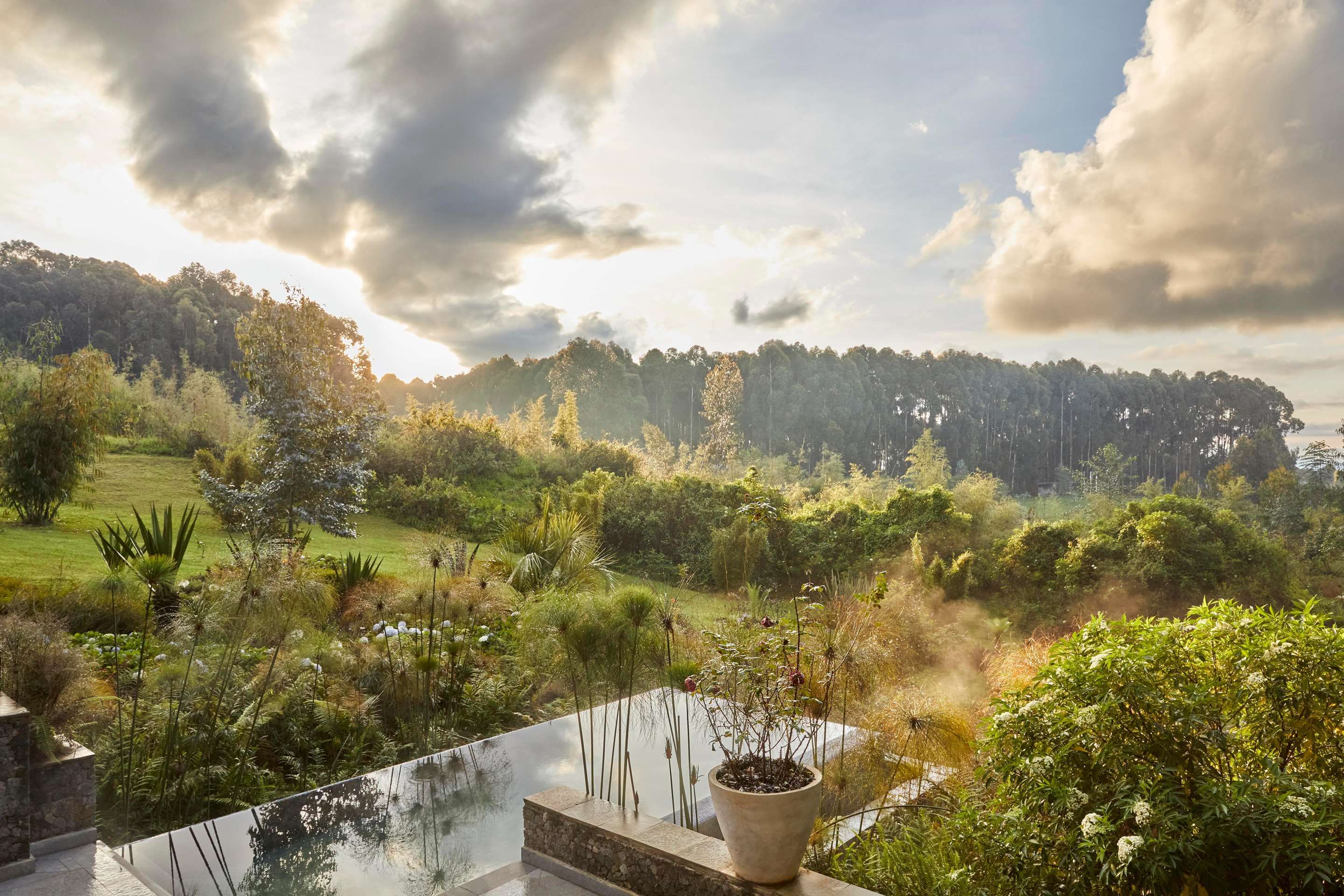 One&Only Gorilla's Nest