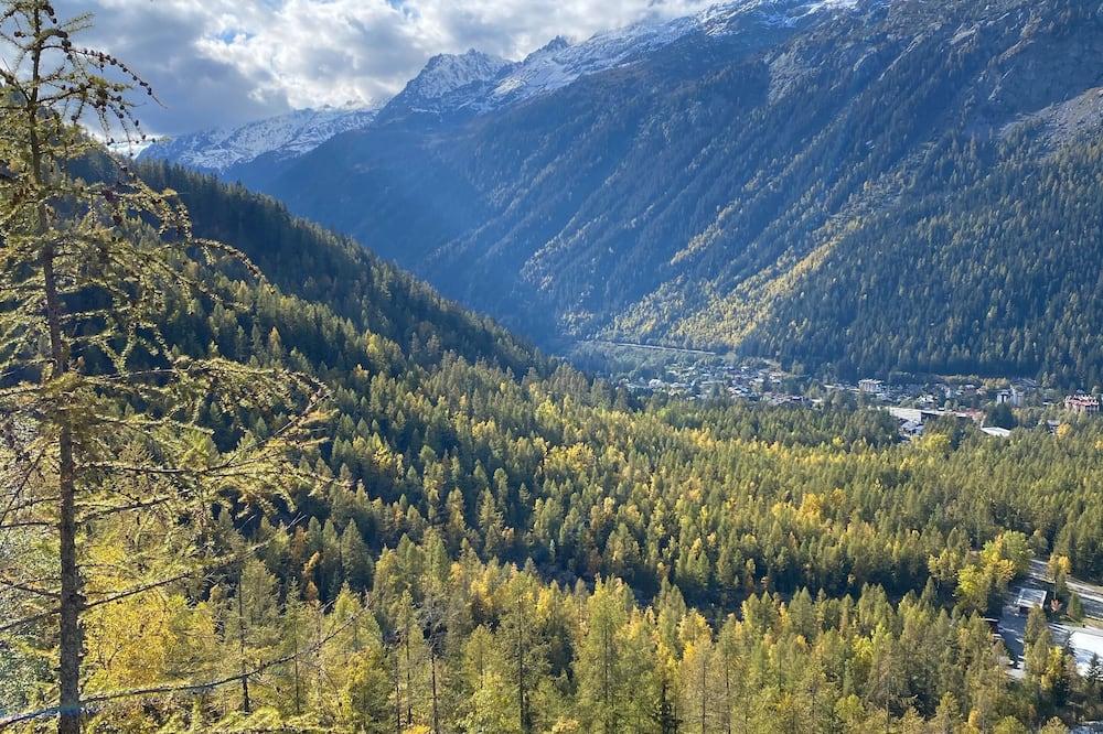 Charming, peaceful chalet in the 3-star village of Argentière Rhône-Alpes - Chamonix-Mont-Blanc visuel 4/5 Charming, peaceful chalet in the 3-star village of Argentière Rhône-Alpes - Chamonix-Mont-Blanc visuel 4/5