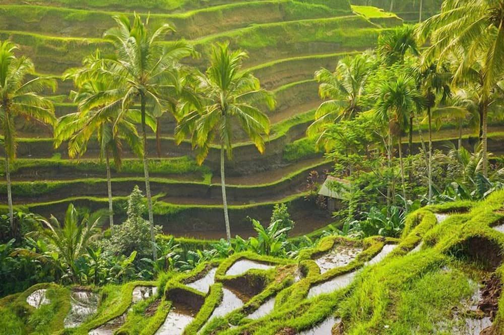 AnandaDara Ubud Resort & Spa