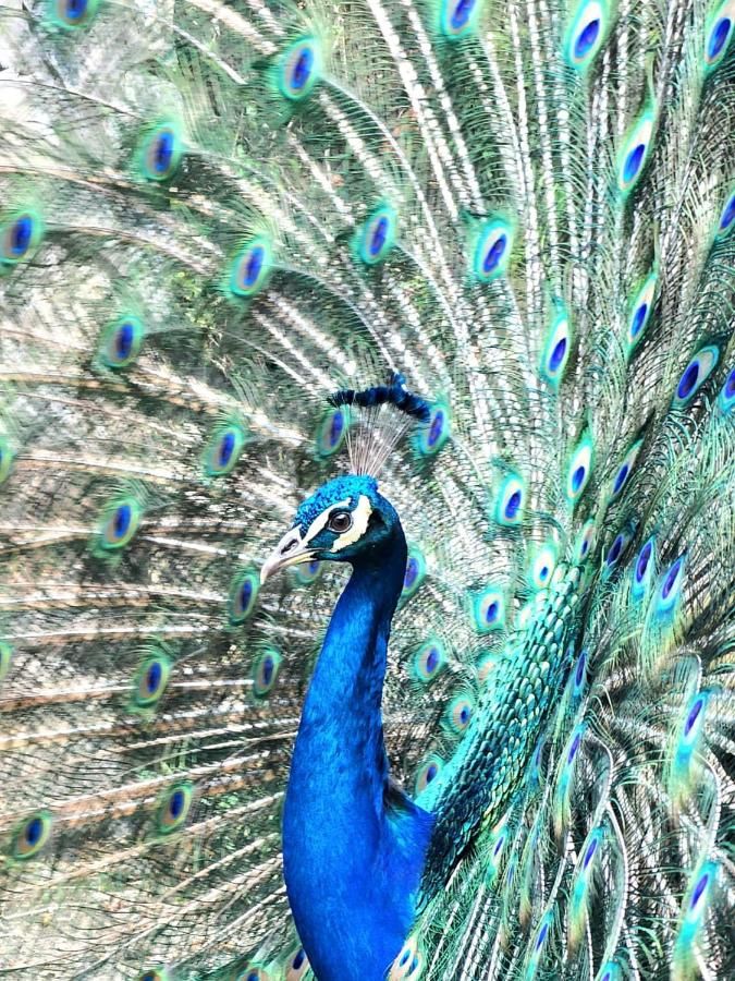 Hotel Cafetero Valparaíso