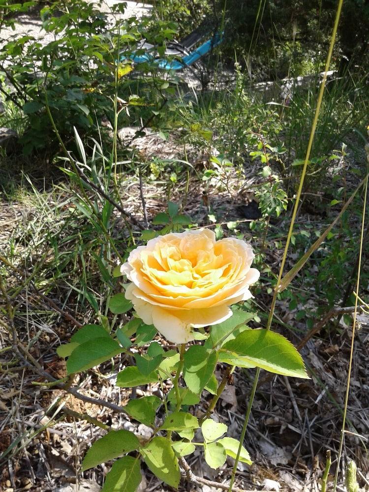 Beautiful Bright Two-Room Apartment, Well Located, Without Vis-À-Vis Provence-Alpes-Côte d'Azur - Fayence visuel 4/5