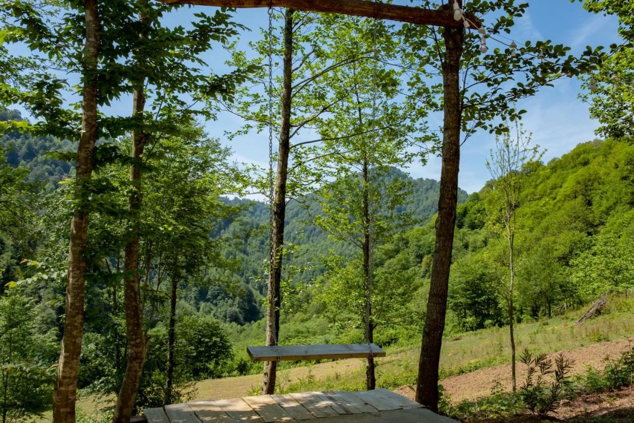 Skydoorცისკარი