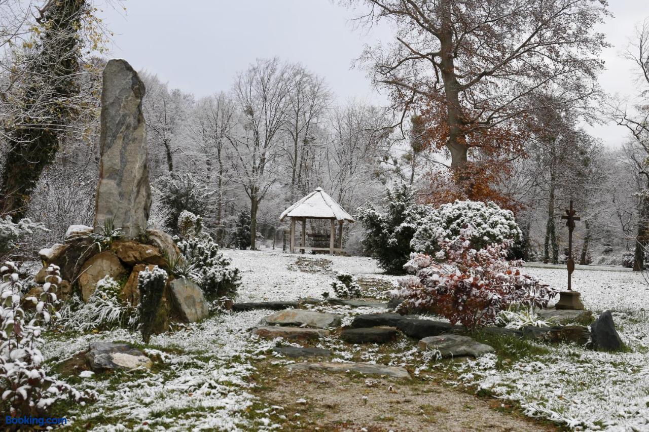 booking-555360-428517760-106007 Schloss Schönau
