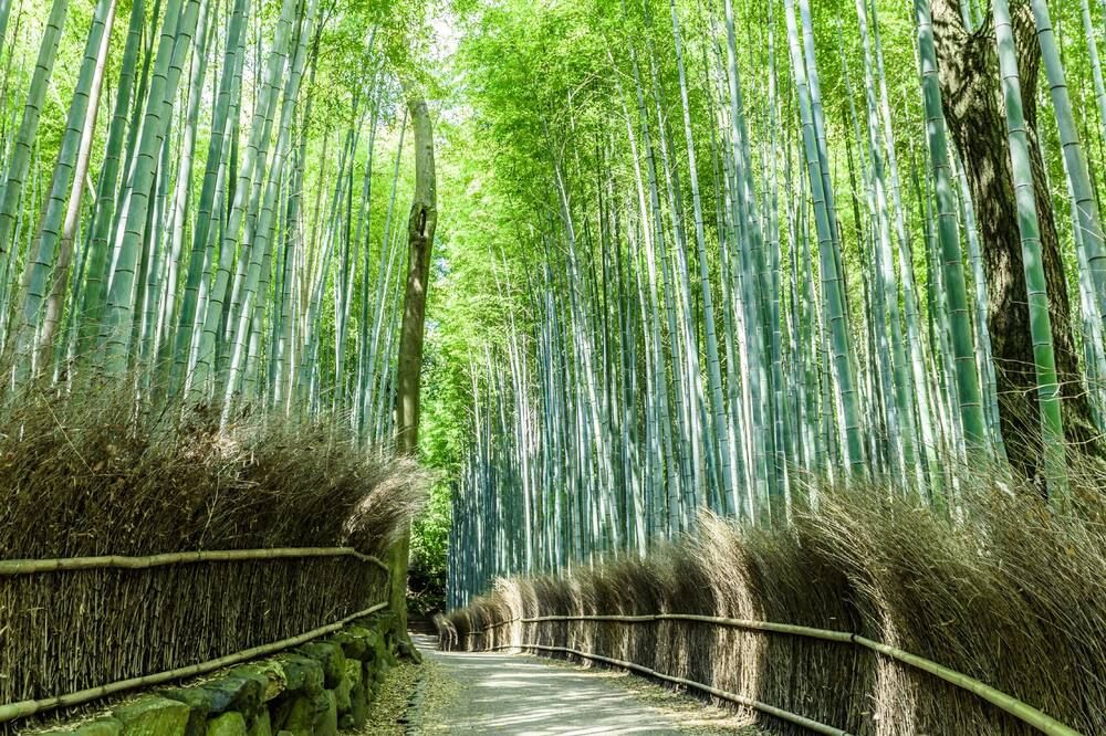 Mimaru Suites Kyoto Central