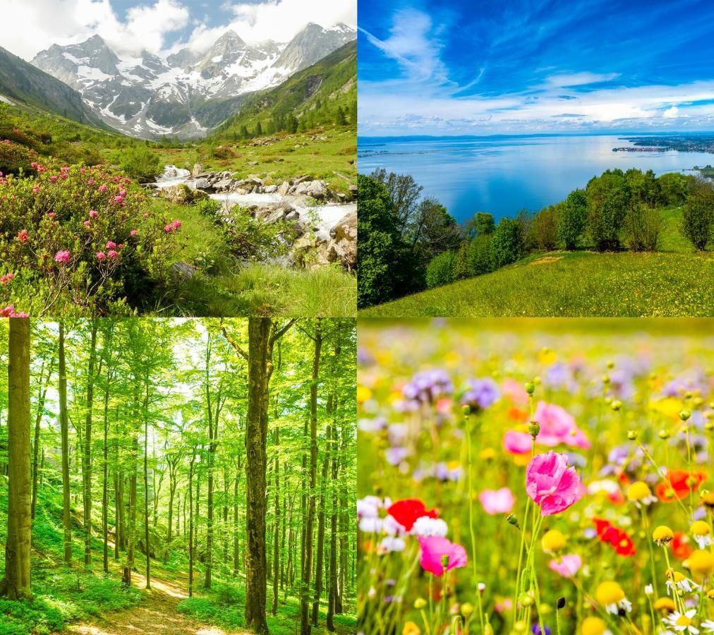 Fritsch am Berg - Adults only