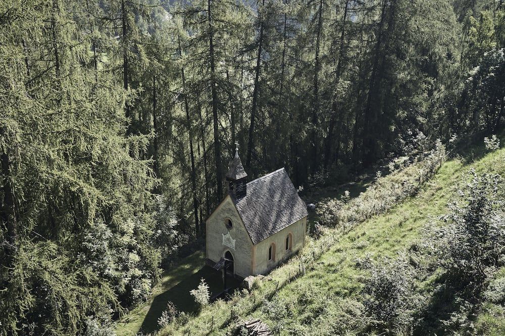 Goldene Rose Karthaus