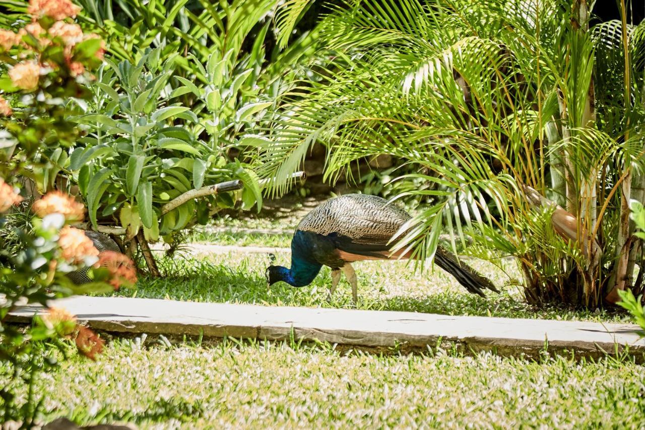 Villa Lu Amazon Ecolodge