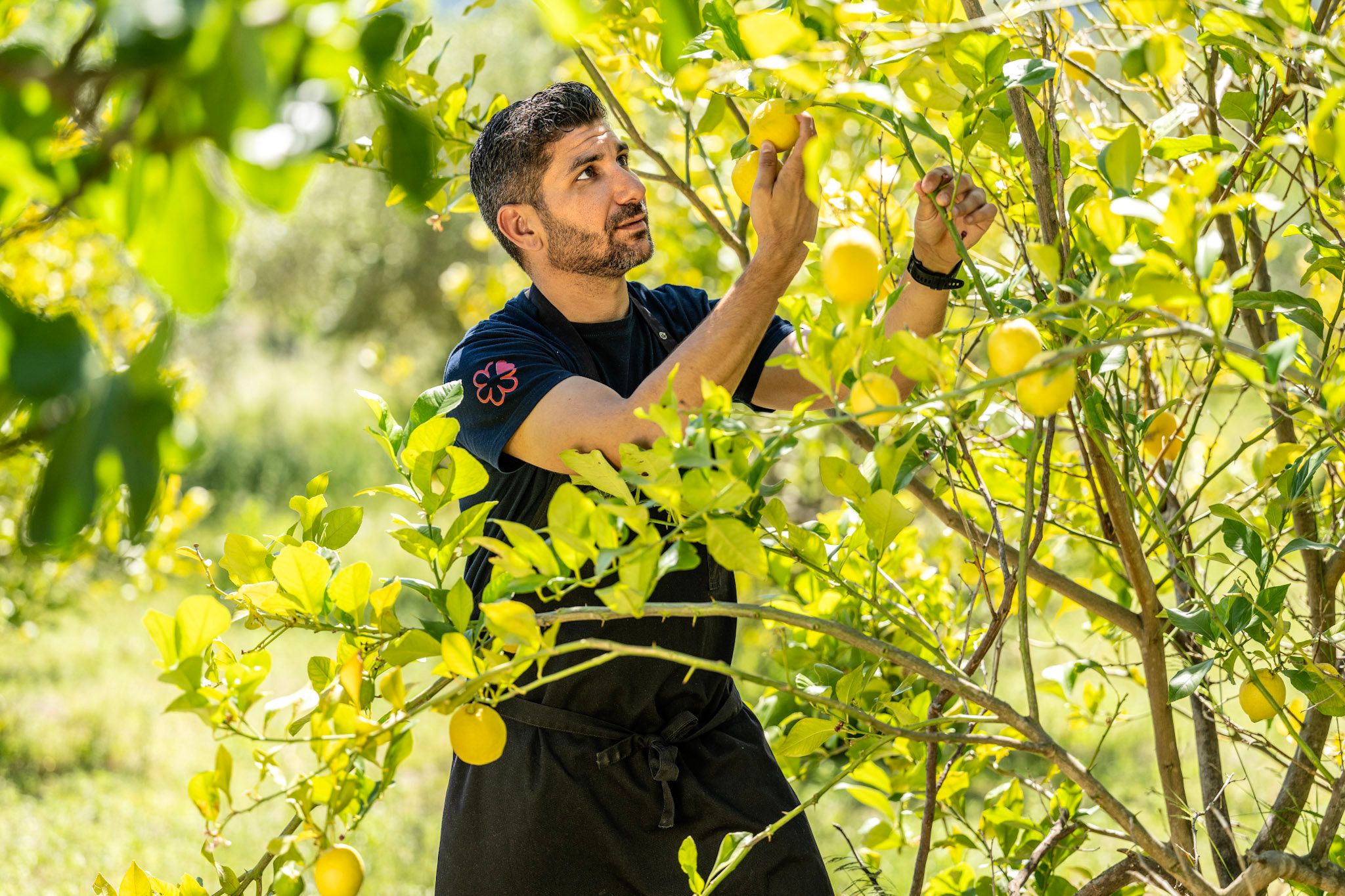 Castell Son Claret - The Leading Hotels of the World