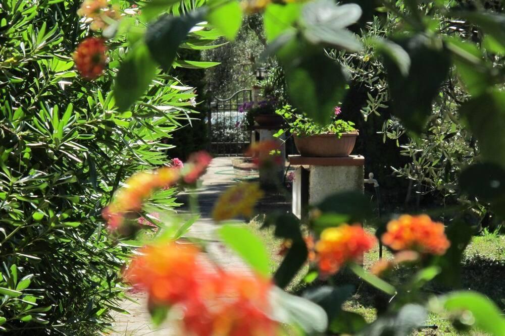 Villa Casaisoladelba in Lacona, 80 mt from the beach in park, parking Toscane - Capoliveri visuel 3/5