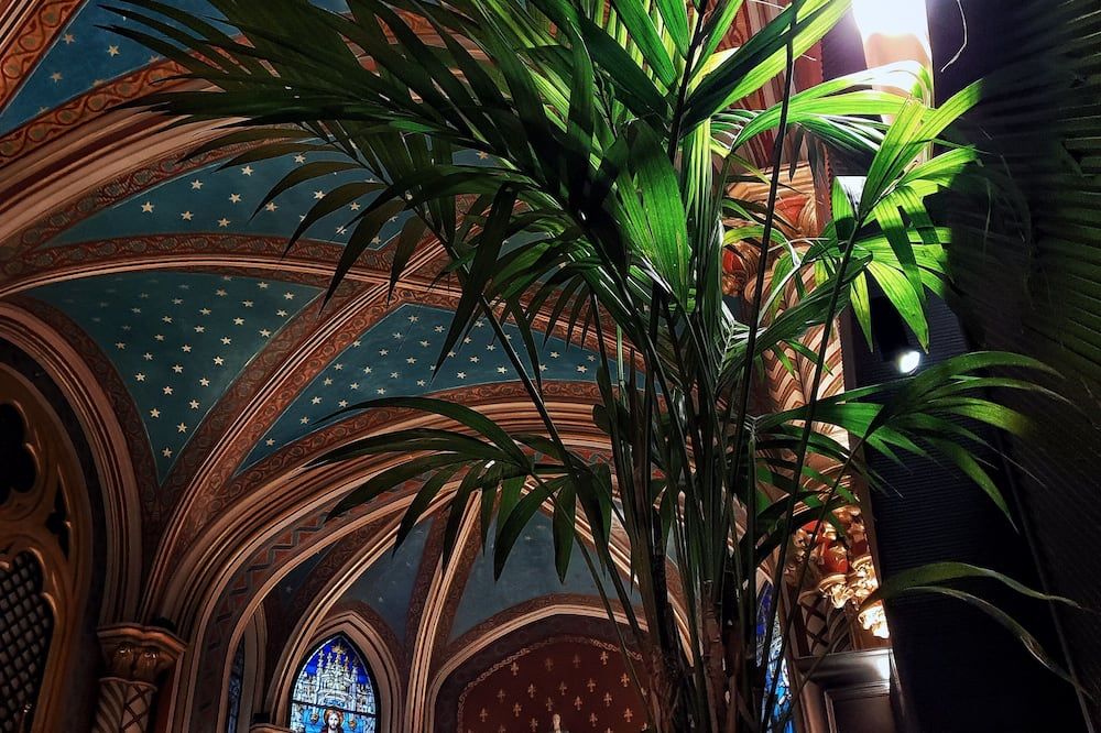 Zenit Convento San Martin