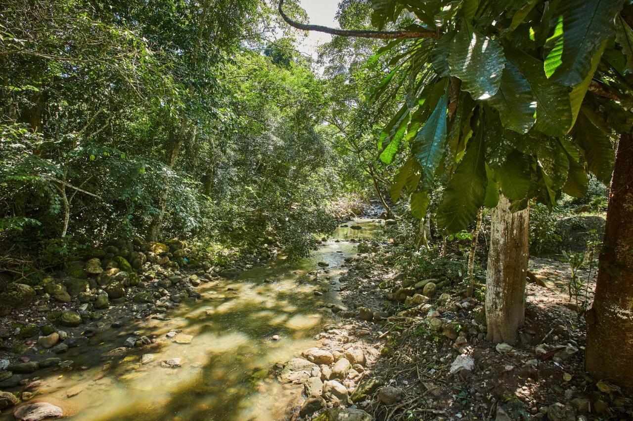 Villa Lu Amazon Ecolodge