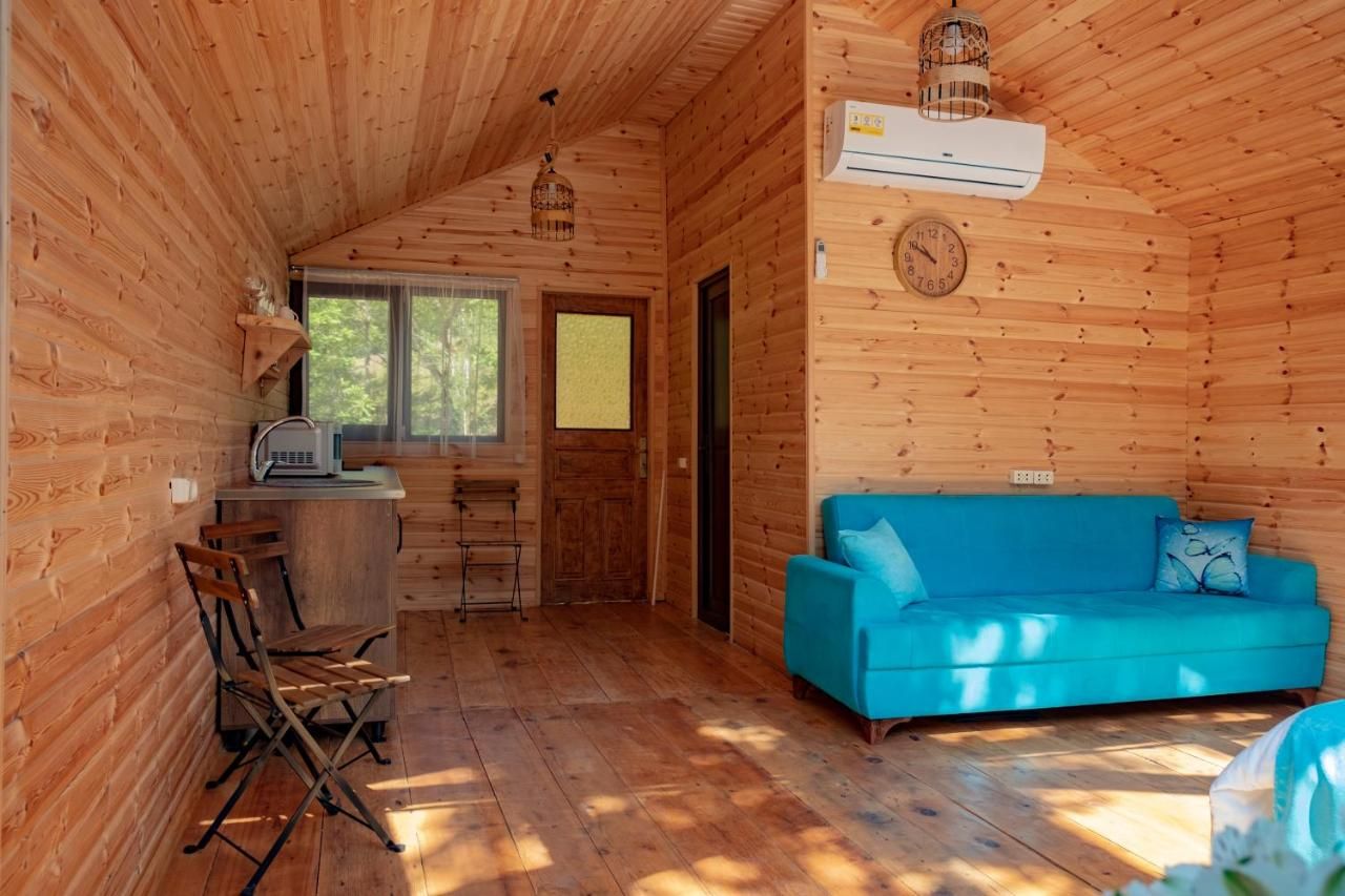 Skydoorცისკარი