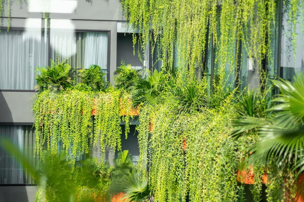 Chi House Danang Hotel and Apartment