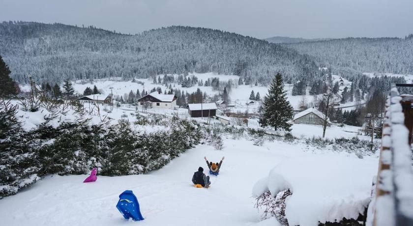 Chalet : Secteur Gérardmer. Lotharingen - Clefcy visuel 3/5 Chalet : Secteur Gérardmer. Lotharingen - Clefcy visuel 3/5