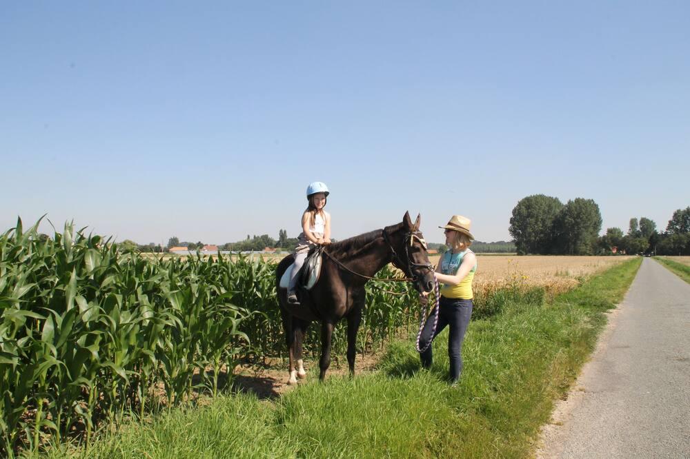 Gîte de Méraville (3 + 2 people), on the farm, Côte D'opale. Ardres region. Nord-Pas De Calais - Ardres visuel 4/5 Gîte de Méraville (3 + 2 people), on the farm, Côte D'opale. Ardres region. Nord-Pas De Calais - Ardres visuel 4/5