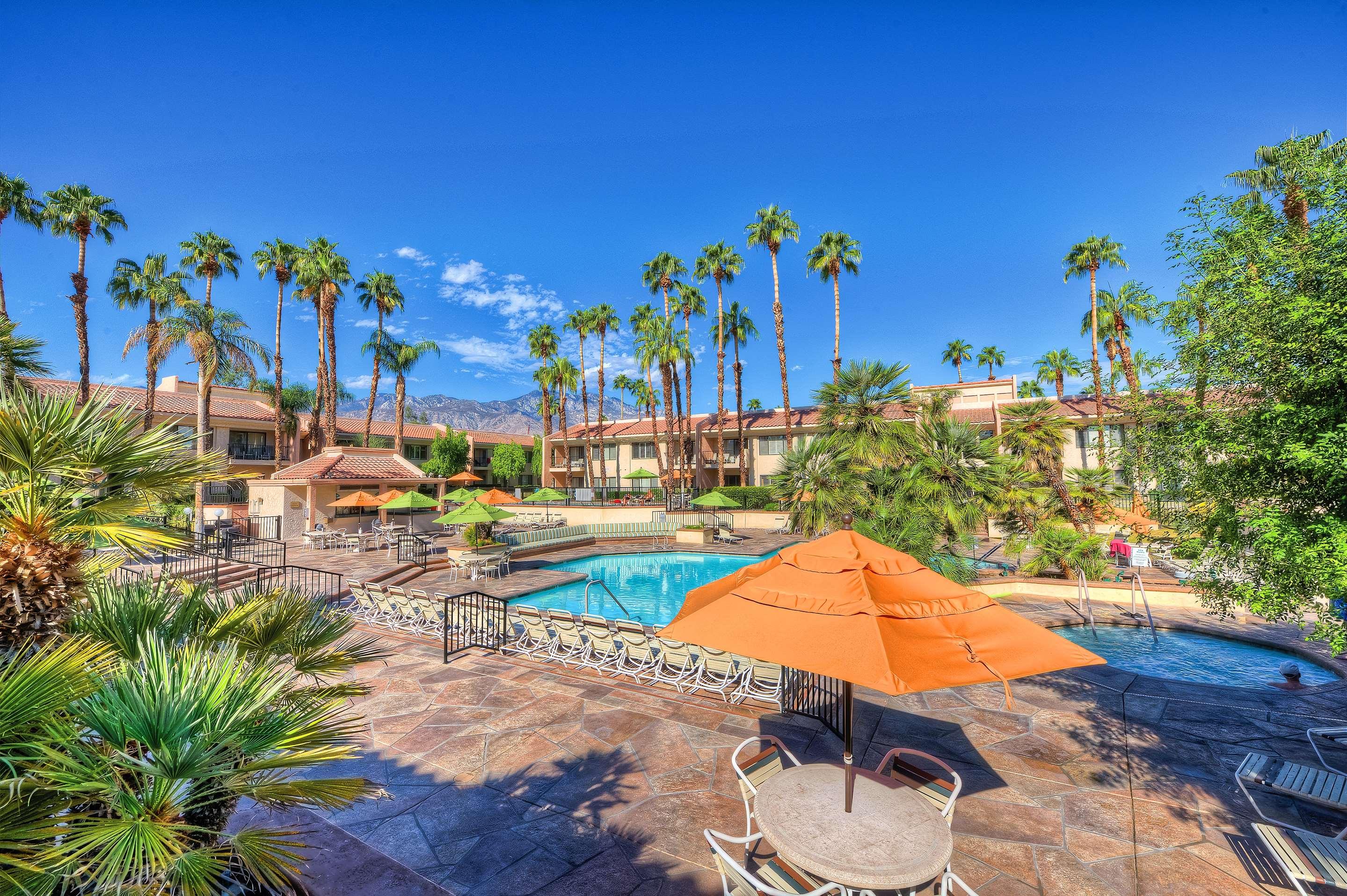 16 Best Hotels in Palm Springs. Hotels from $72/night - KAYAK
