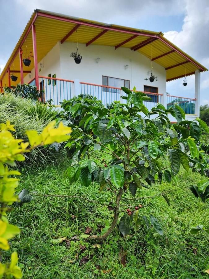 Hotel Cafetero Valparaíso