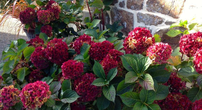 Breizh A-Gevret Bretagne - Lannion visuel 2/5 Breizh A-Gevret Bretagne - Lannion visuel 2/5