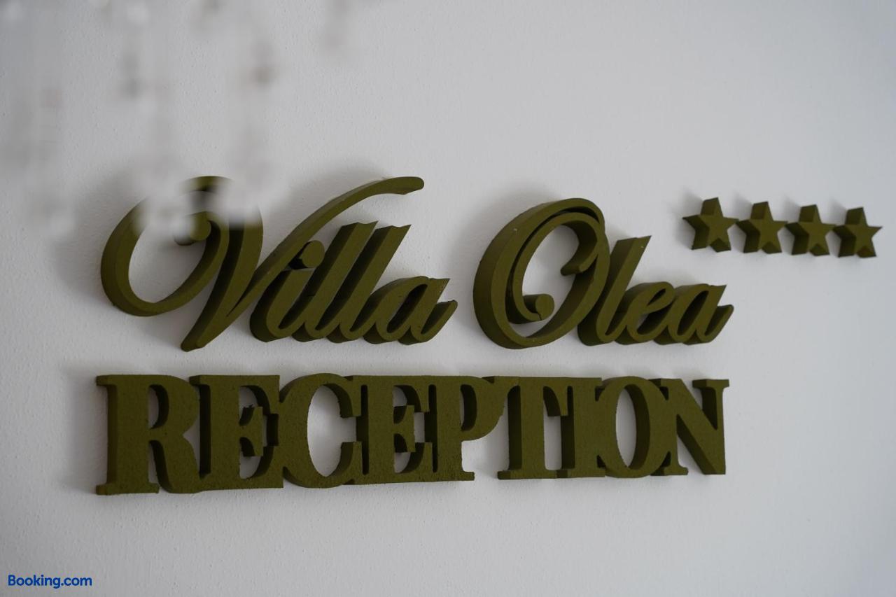 booking-1071064993-536447834-349527 Villa Olea