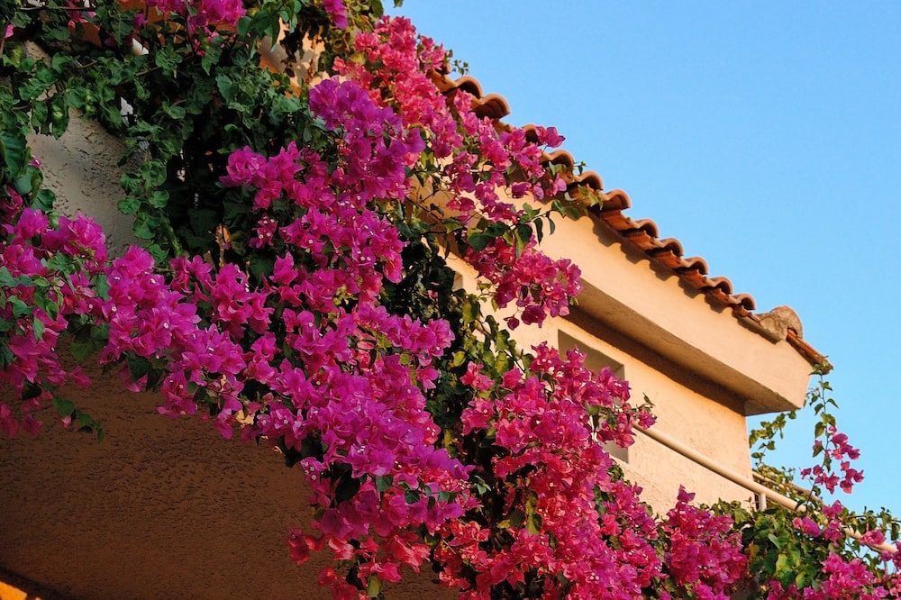 Paradise Island Villas