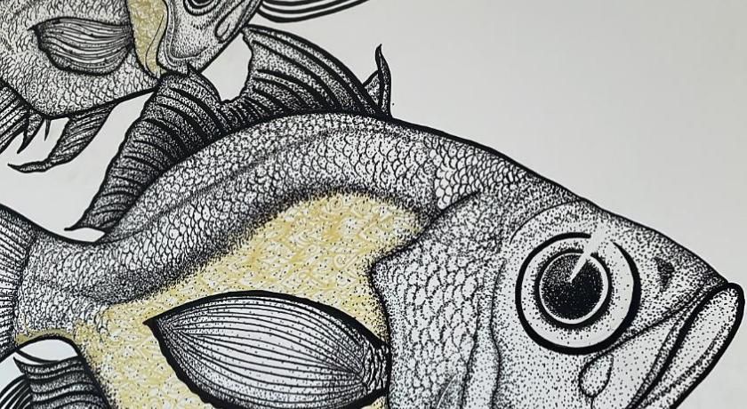 Pousada Low Tide maresias