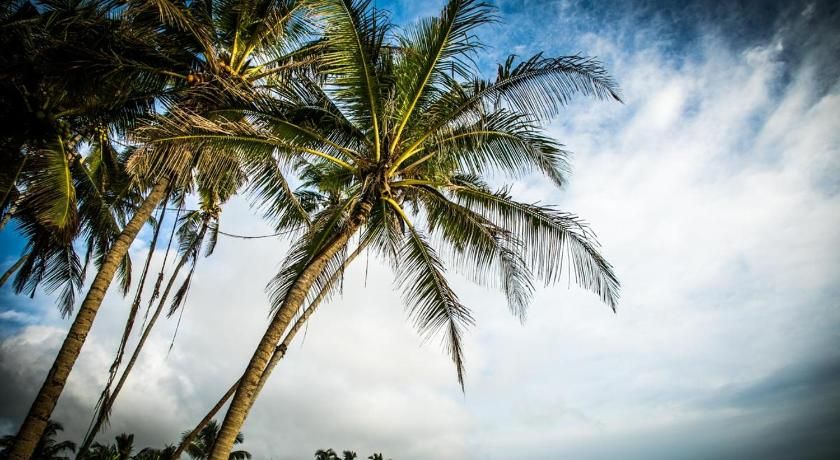 Infinity of Sri Lanka