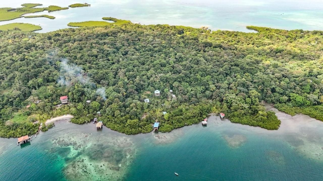 Roam Yoga & Wellness Lodge