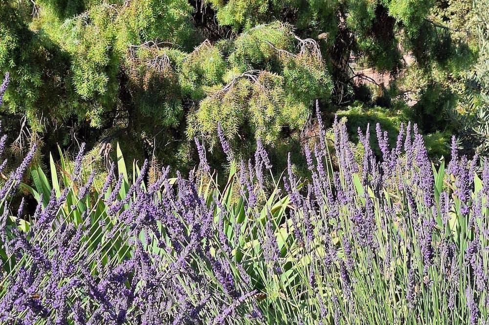 New, detached 2-bedroom villa for 4 people Provence-Alpes-Côte d'Azur - Rocbaron visuel 2/5 New, detached 2-bedroom villa for 4 people Provence-Alpes-Côte d'Azur - Rocbaron visuel 2/5