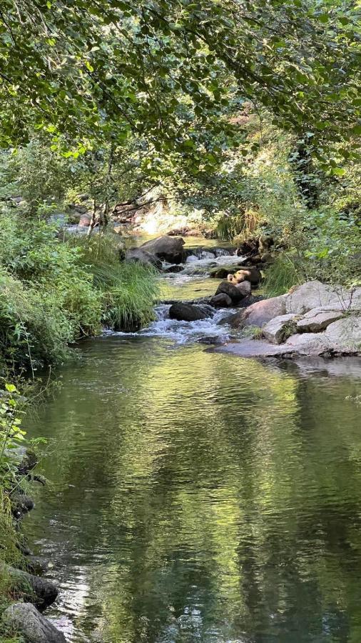 Camping La Eliza Lanzahíta Castile and Leon - Lanzahíta visuel 3/5 Camping La Eliza Lanzahíta Castile and Leon - Lanzahíta visuel 3/5