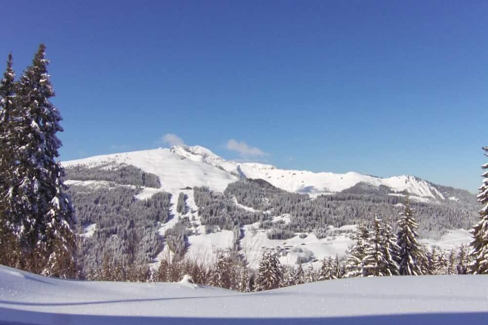 Chalet ideally located at the foot of the slopes in the resort of Les Gets Rhône-Alpes - Les Gets visuel 2/5 Chalet ideally located at the foot of the slopes in the resort of Les Gets Rhône-Alpes - Les Gets visuel 2/5