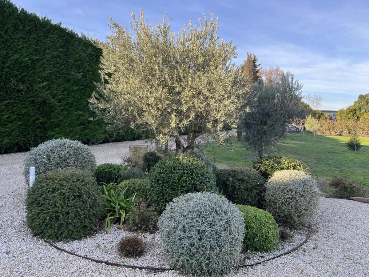 Mas Allard Provence-Alpes-Côte d'Azur - Tarascon visuel 2/5