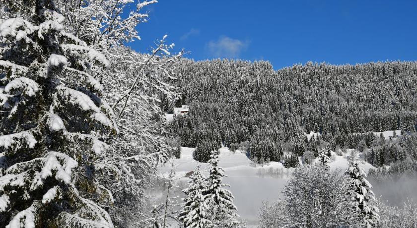 Chalet Orlando Rhône-Alpes - Les Gets visuel 3/5