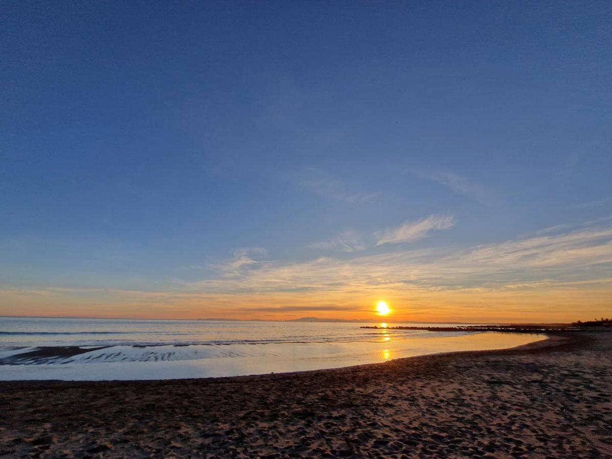 Villa arborée avec grande piscine Languedoc-Roussillon - Campagnan visuel 1/5 Villa arborée avec grande piscine Languedoc-Roussillon - Campagnan visuel 1/5
