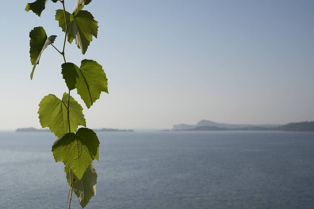 Hotel Villa Florida & Suite Apartments