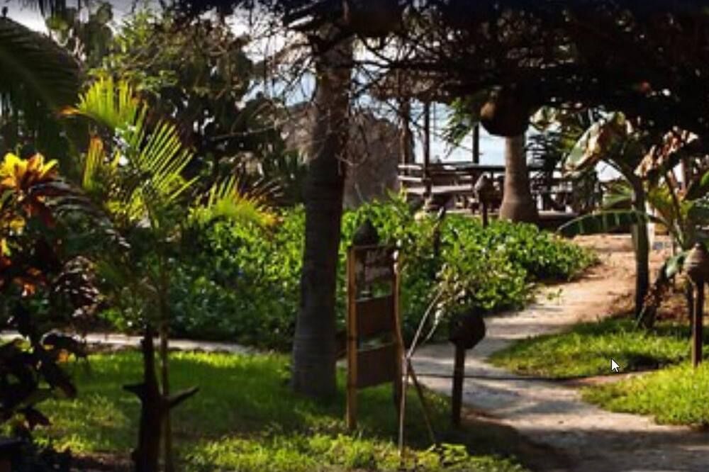 El Alquimista Yoga Spa