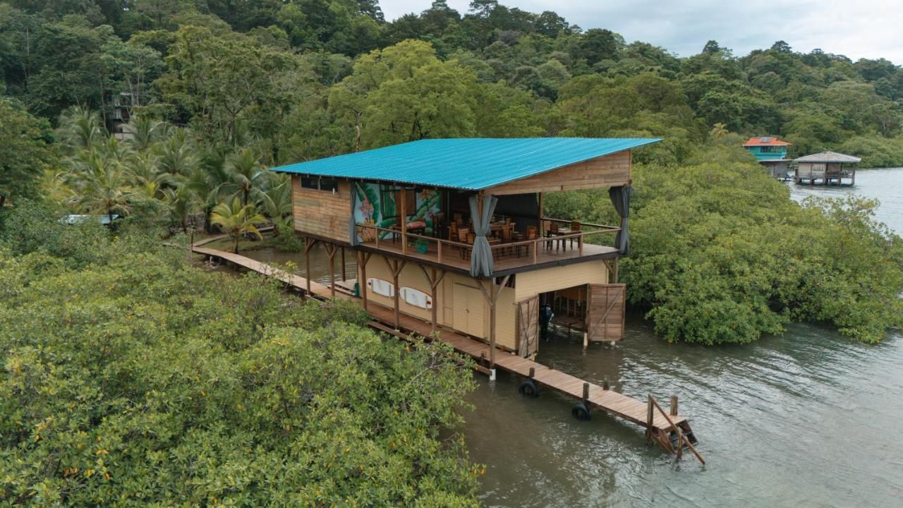 Roam Yoga & Wellness Lodge