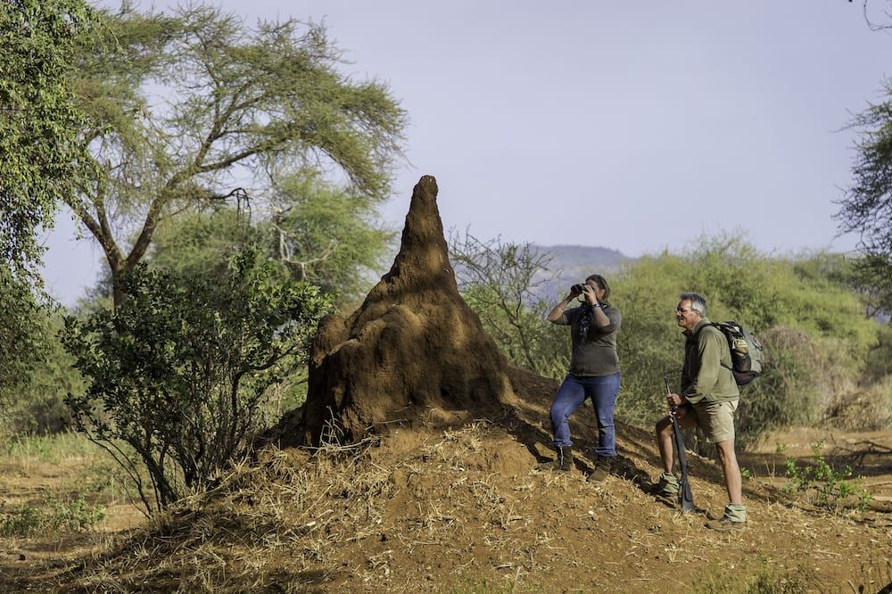 The Outpost & Pel's Post