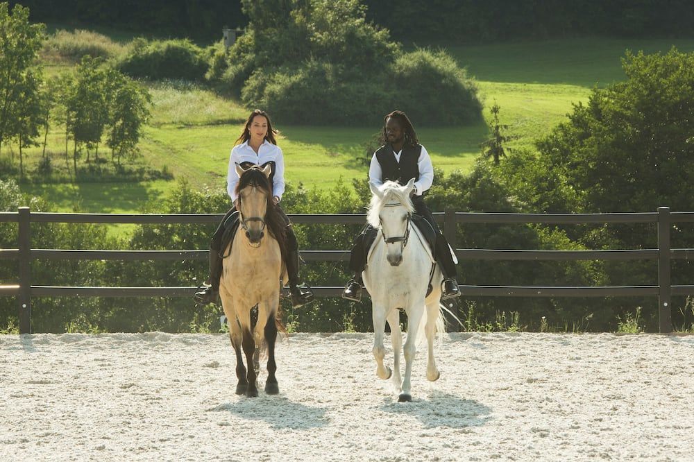 Le Domaine de la Klauss