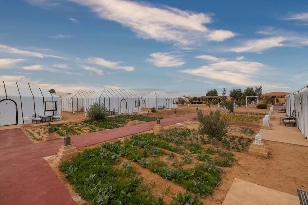 Dwo Golden Camp Merzouga