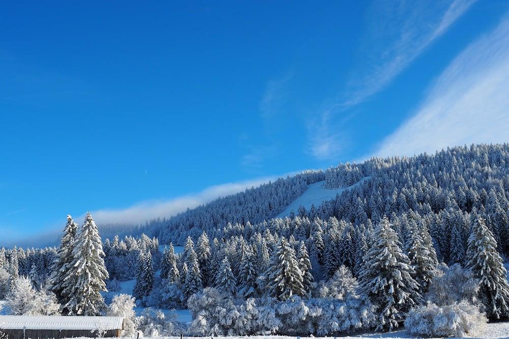Pagotin chalet with beautiful view Franche Comté - Metabief visuel 3/5 Pagotin chalet with beautiful view Franche Comté - Metabief visuel 3/5