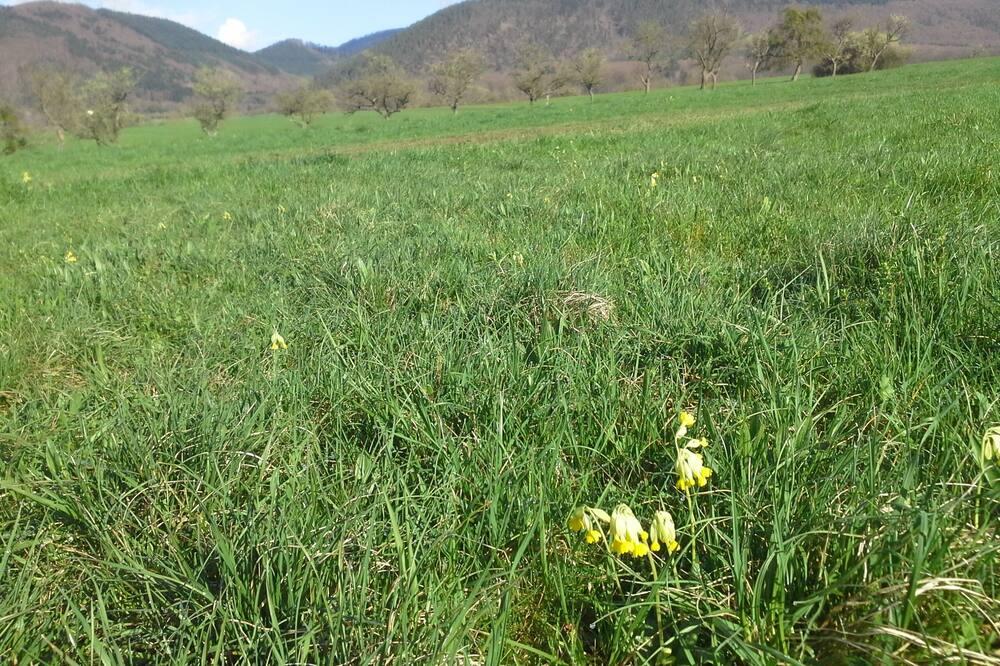 Comfortable lodging in the heart of Alsace Elzas - Oberhaslach visuel 4/5 Comfortable lodging in the heart of Alsace Elzas - Oberhaslach visuel 4/5