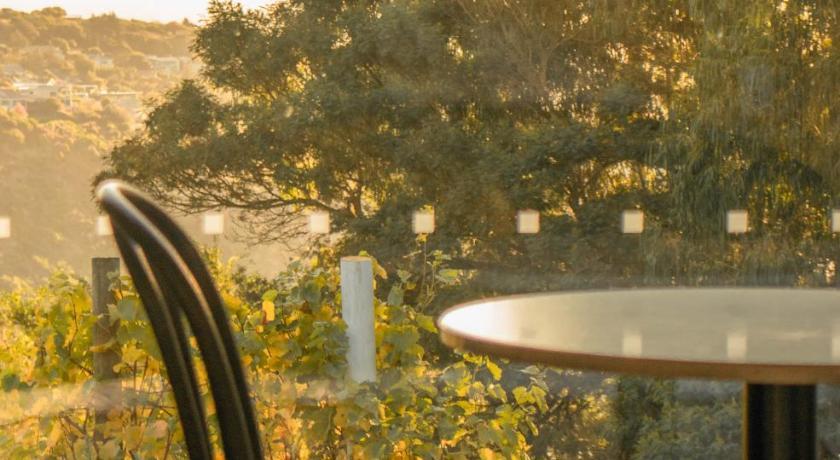 Tussock Hill Vineyard Retreats