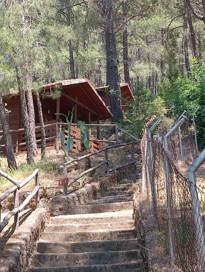 Camping La Eliza Lanzahíta Castile and Leon - Lanzahíta visuel 4/5 Camping La Eliza Lanzahíta Castile and Leon - Lanzahíta visuel 4/5